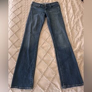 Gap 1969 Classic Blue Women's Real Straight Jeans